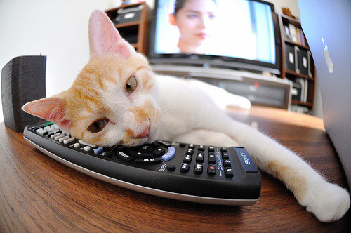 影响深远的裁判判罚:争议背后的深入分析,裁判影响比赛