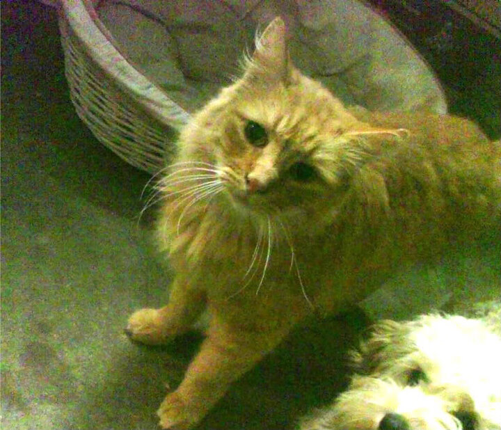 青训体系改革，注重技术与战术结合，青训模式