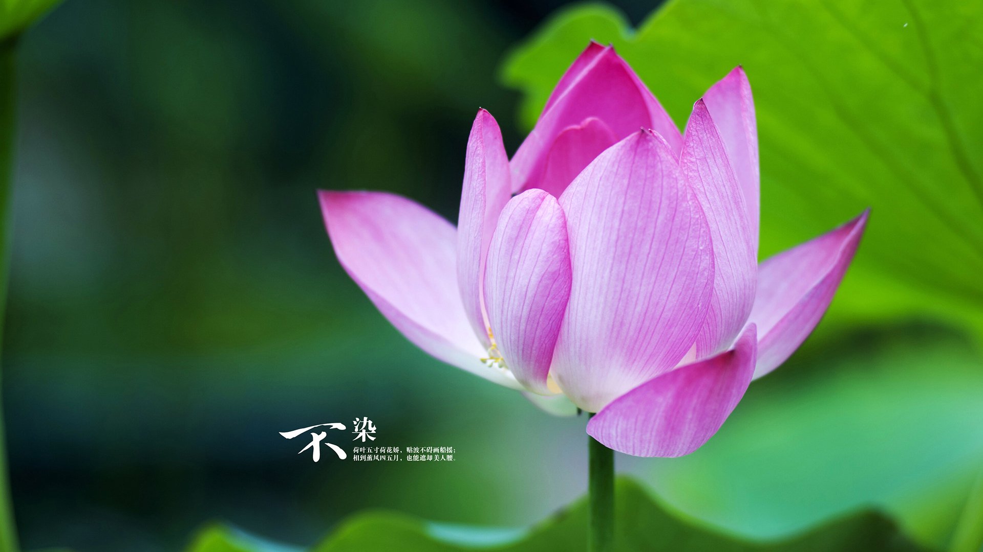 哥伦比亚队主场告负，主帅面临考验，哥伦比亚阵容名单