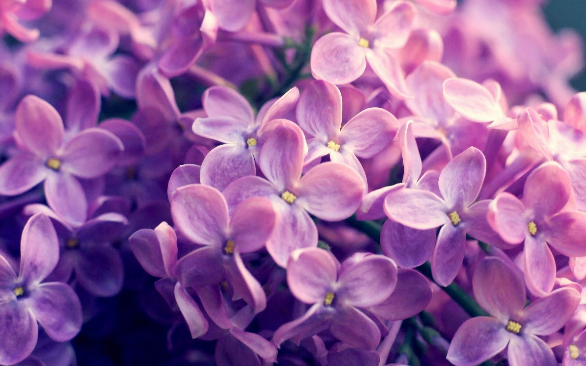 AYX SPORTS-墨西哥队前锋马丁内斯在巴黎奥运会上表现出色，马丁内斯西班牙