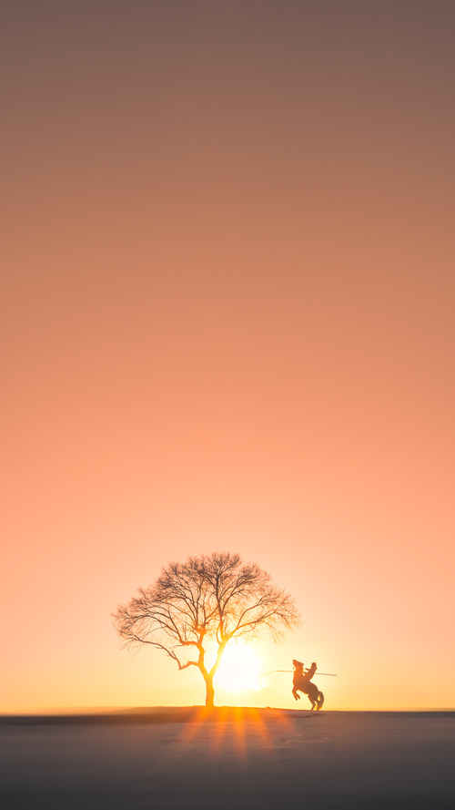 维达德卡萨布兰卡锋线火力强劲,进球数领先联赛,卡萨布兰卡 知乎