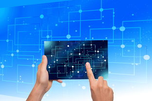 AYX体育-中国篮球青训体系教练员能力评估与发展规划，篮球教练员素养