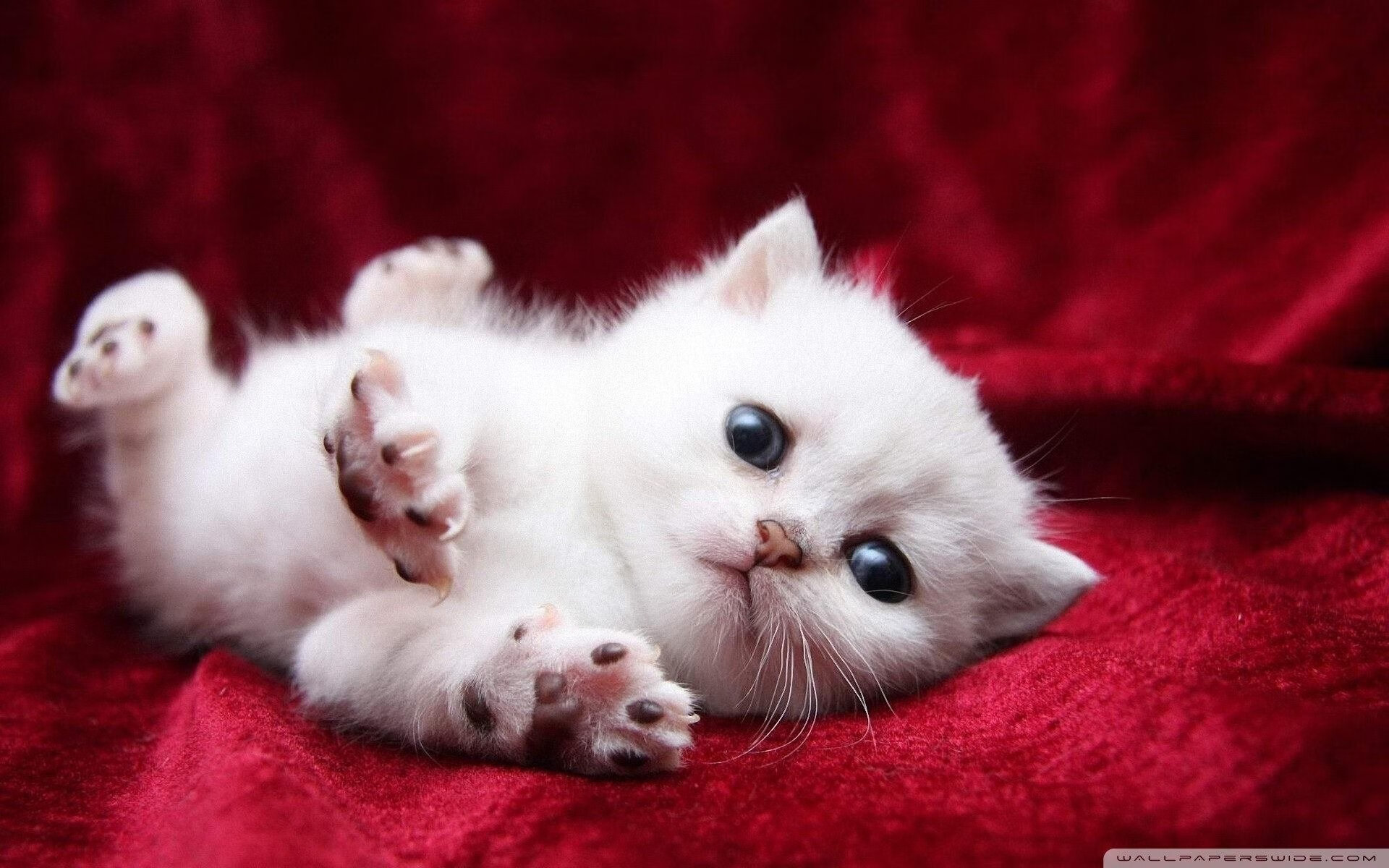 爱游戏app-体育产业国际交流与合作，体育产业国际化战略