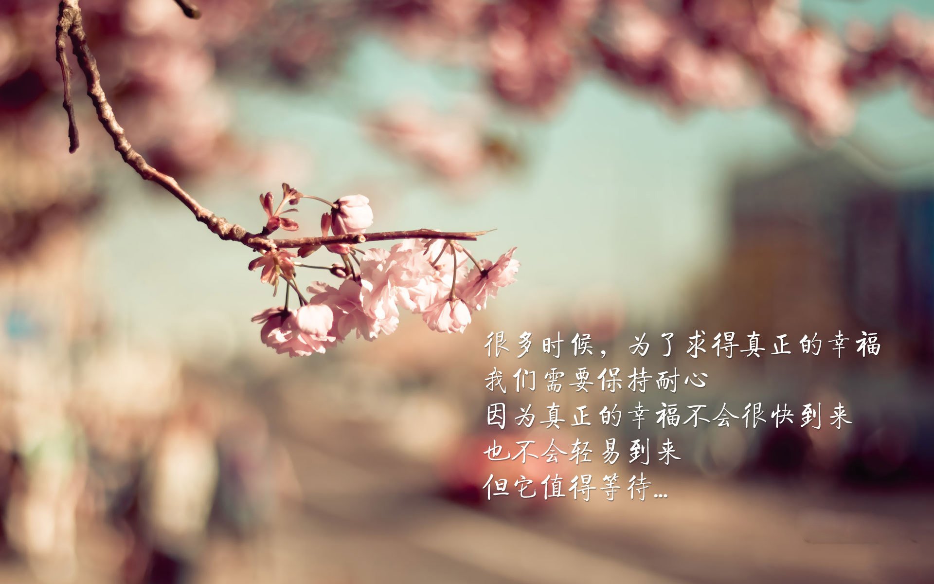 篮球运动员专项技术动作视频教学资源开发，篮球运动员基本功