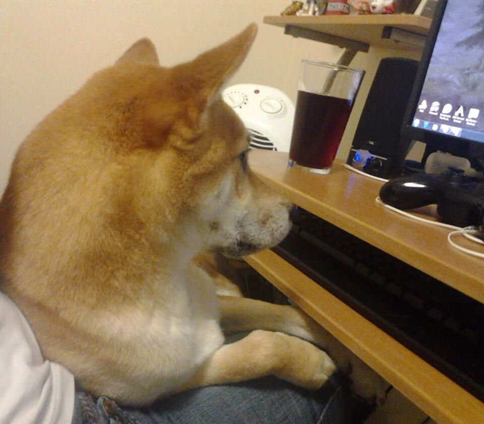 爱游戏app-“沙滩合球：天府新区沙滩赛场迎来极限挑战”