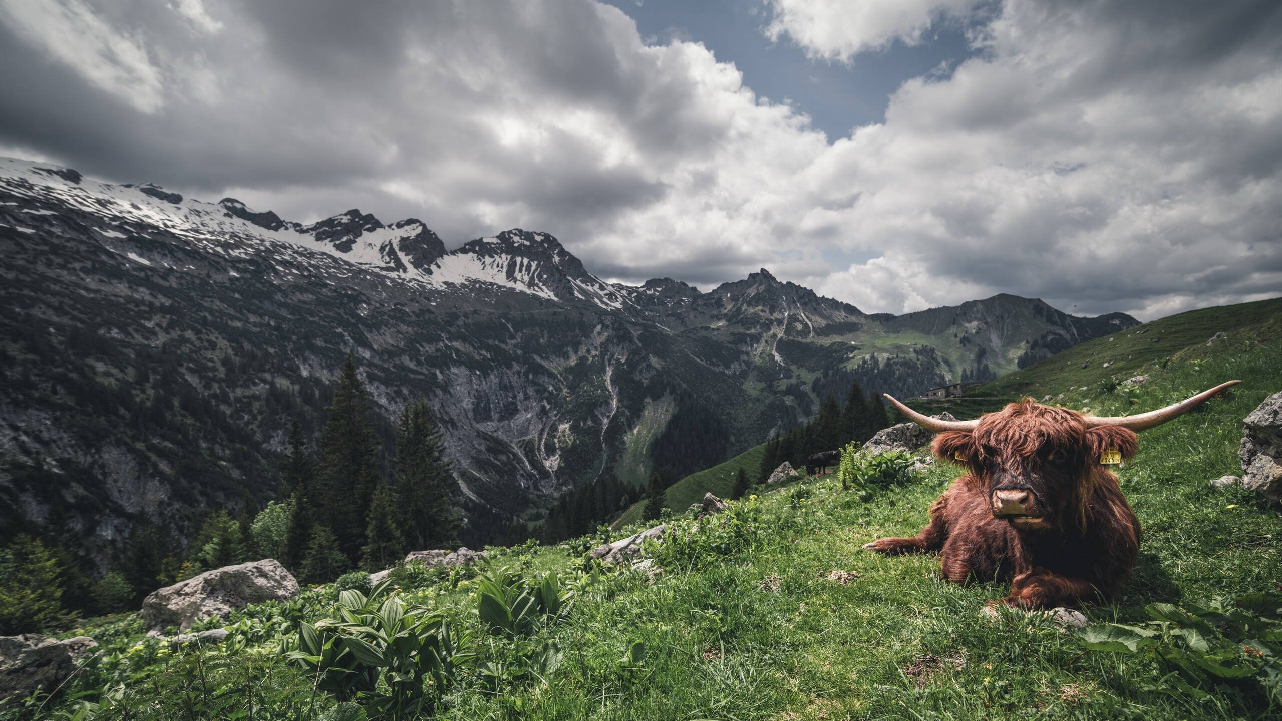 中国女篮提升转换进攻处理能力，中国女篮进步