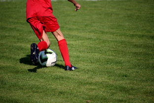 爱游戏官网-青训球员选拔机制存在结构性偏见，青训选拔喜欢那种球员