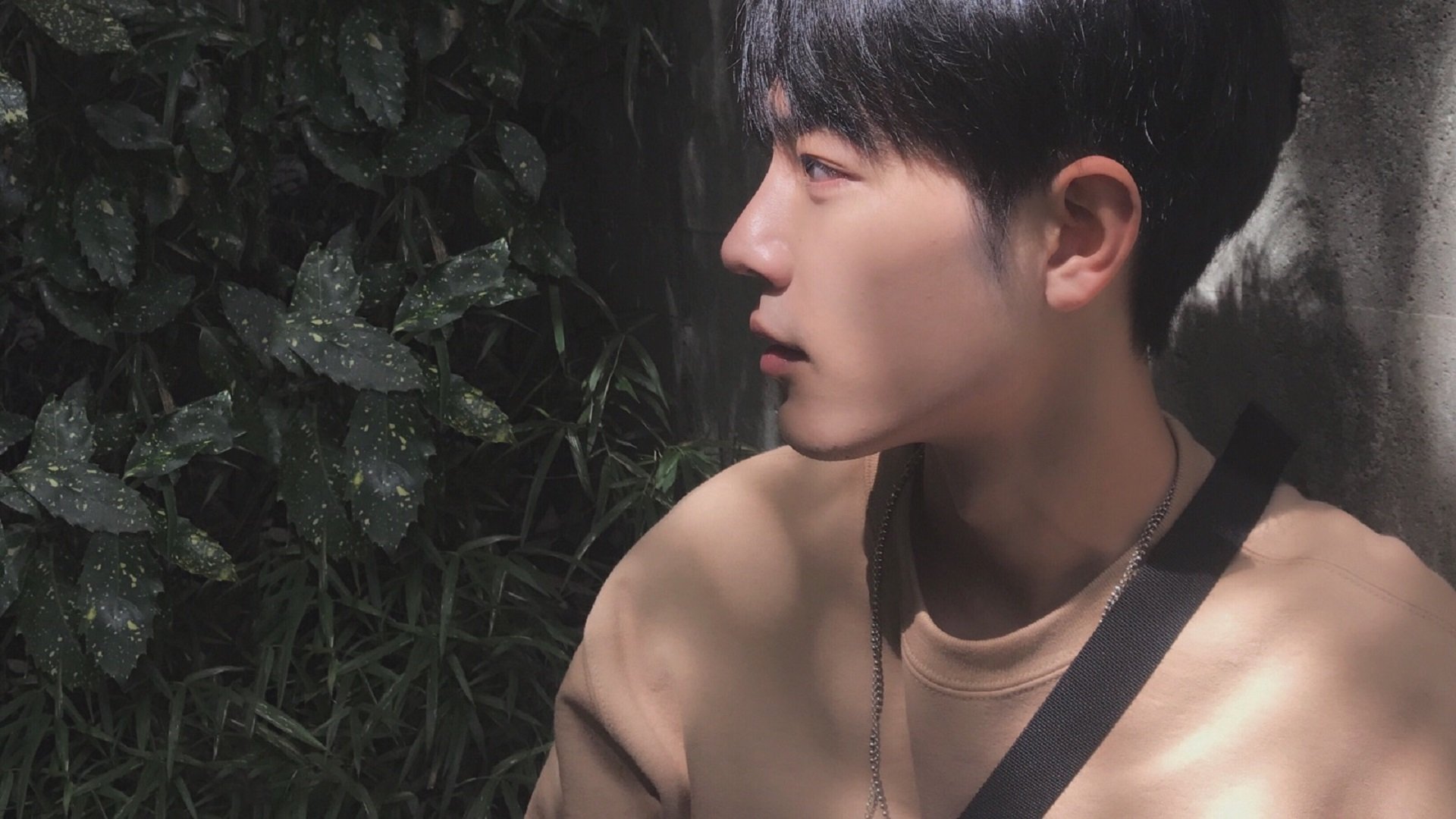 欧洲杯夺冠战:战术指挥中的细节胜负,欧洲杯冠军之战