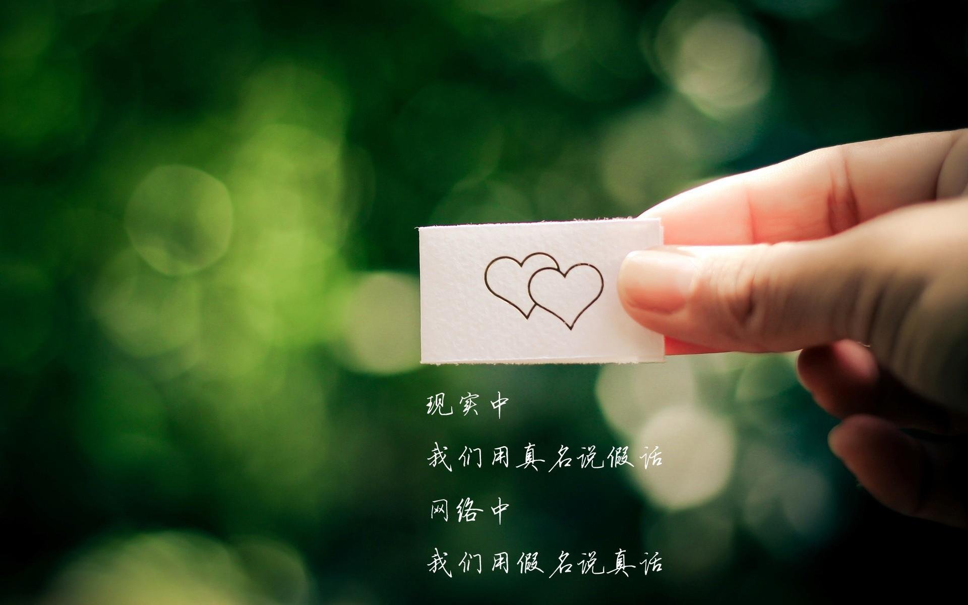 美洲杯明星再临:突破、精彩、惊喜!,美洲杯人气