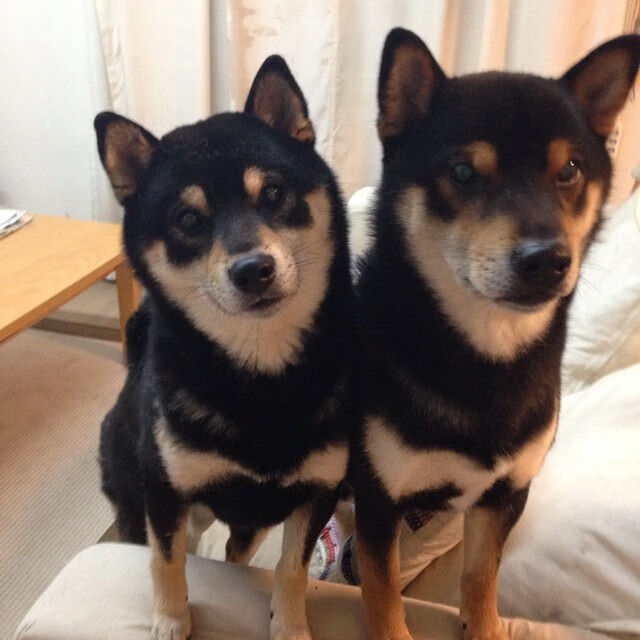 赛事招商合作成果显著吸引多领域企业跨界参与,招商引资竞赛